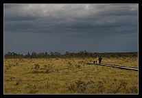 thumbs/20120717_0788_small.jpeg