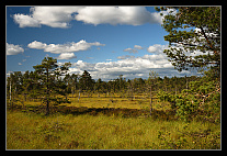 thumbs/20120717_0798_small.jpeg