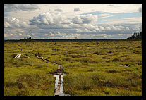 thumbs/20120717_0831_small.jpeg