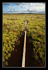 thumbs/20120717_0834_small.jpeg