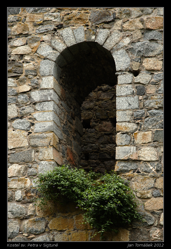 20120718_0869_small.jpeg