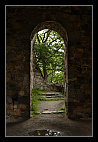 thumbs/20120718_0861_small.jpeg