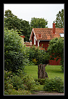 thumbs/20120718_0878_small.jpeg