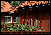 thumbs/20120718_0917_small.jpeg