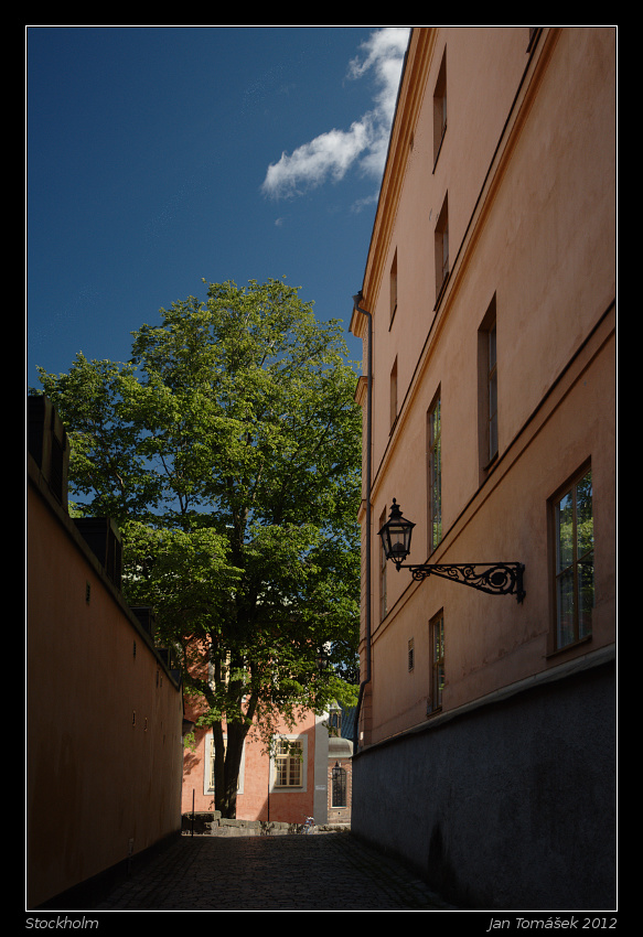20120719_1087_small.jpeg