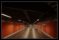 thumbs/20120719_1006_small.jpeg
