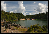 thumbs/20120720_1248_small.jpeg