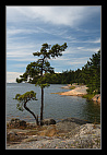 thumbs/20120720_1265_small.jpeg