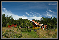 thumbs/20120720_1389_small.jpeg
