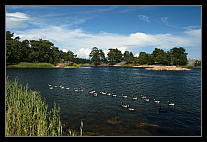 thumbs/20120720_1433_small.jpeg