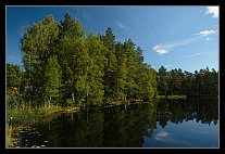 ../thumbs/20120721_1546_small.jpeg