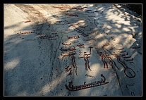 ../thumbs/20120721_1584_small.jpeg