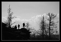 thumbs/20080401_9366_small.jpeg
