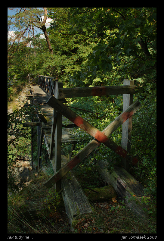 20080830_2768_small.jpeg