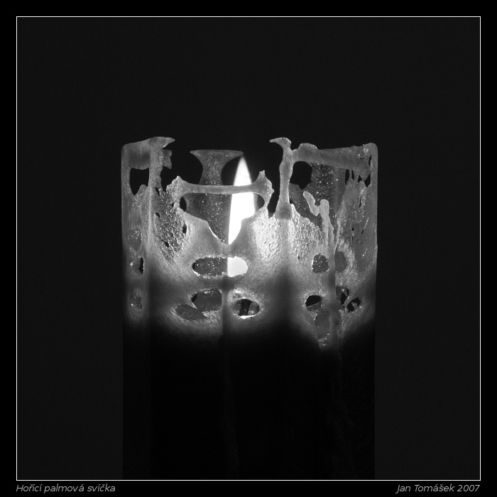Hořcí svíčka z palmového vosku